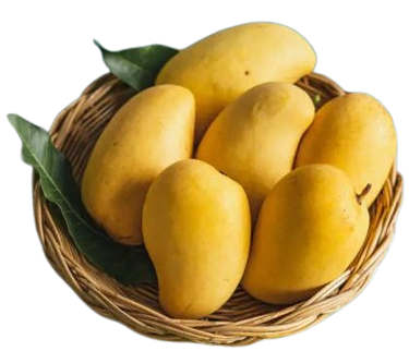 35818d0ec690ce232976d272d409aed3-removebg-preview