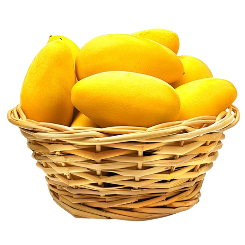 68ba3c0517a4804cb3297f6ae4815012-removebg-preview