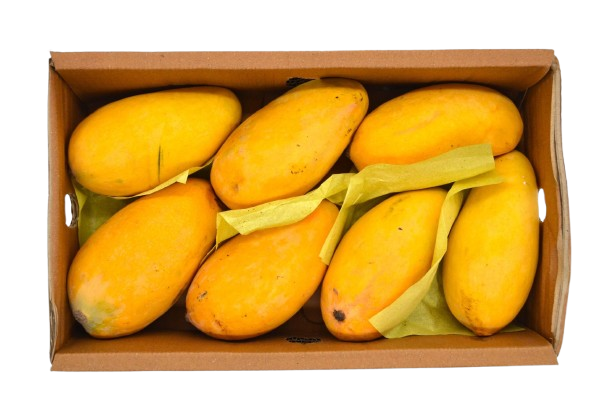 DSC_0001-Copy-scaled-removebg-preview