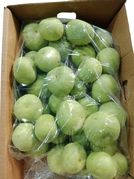 IMG-20251030-WA0008-removebg-preview