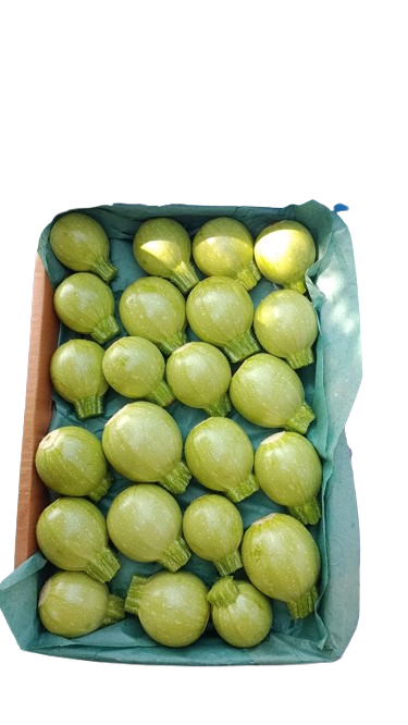 IMG-20251030-WA0010-removebg-preview (1)