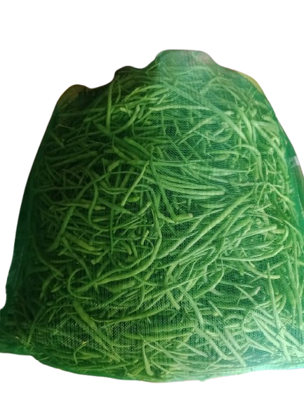 IMG-20251030-WA0011-removebg-preview