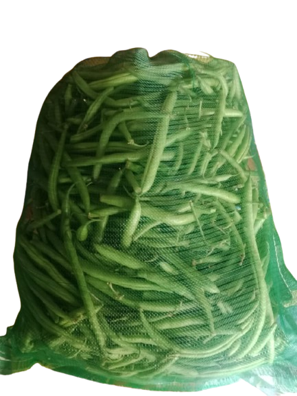 IMG-20251030-WA0014-removebg-preview