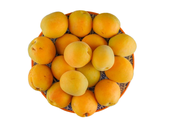 apricots-plate-plaster-picnic-cloth-flat-lay-removebg-preview