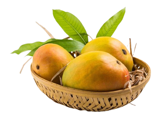 ce88428687a2179e375108382989cabe-removebg-preview