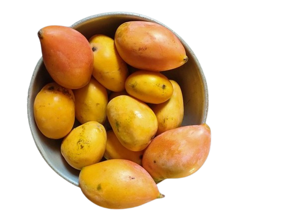 f36d72c87cae8ce4a40c15f8eaaa0090-removebg-preview