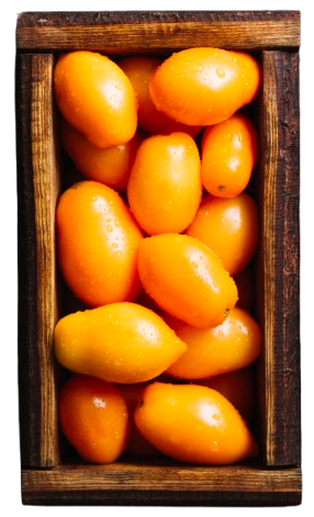 flavorful-orange-tomatoes-basket-top-view-removebg-preview