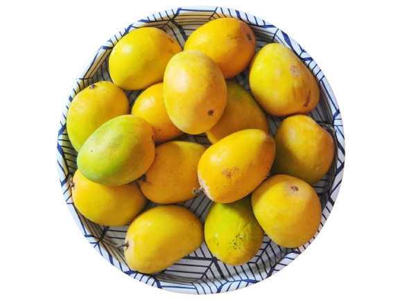 mangoes-6268184_1280-removebg-preview