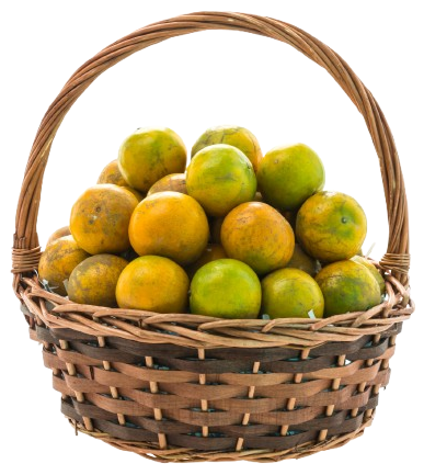 orange-fruit-removebg-preview